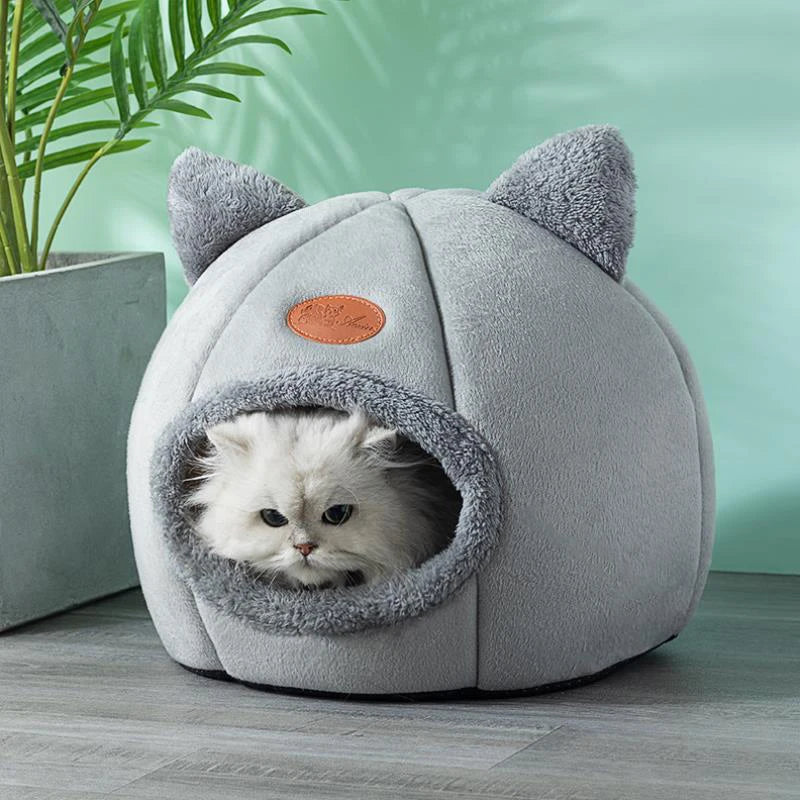 DreamyPet