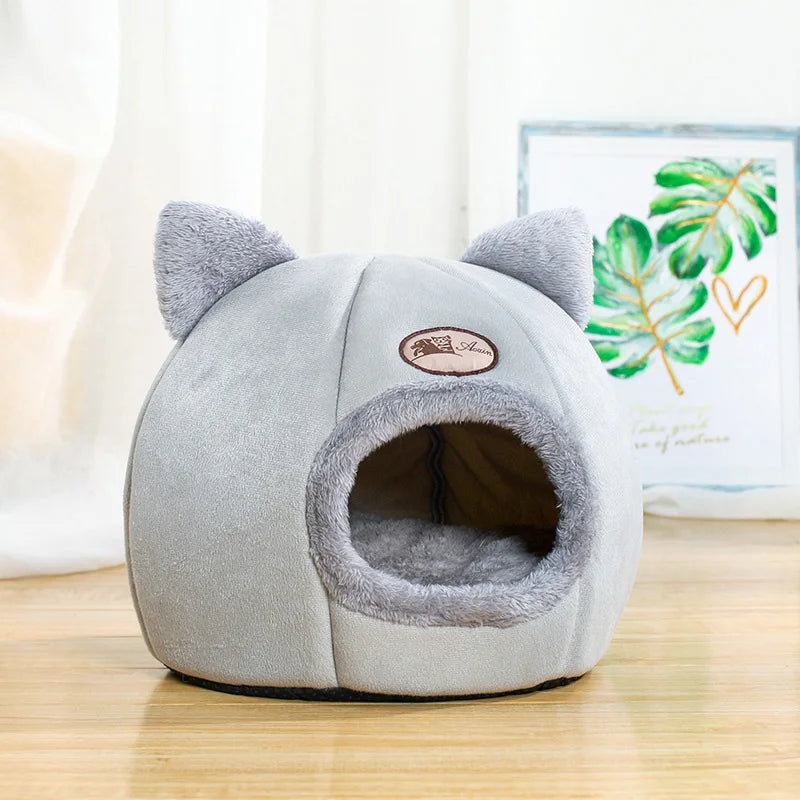 DreamyPet