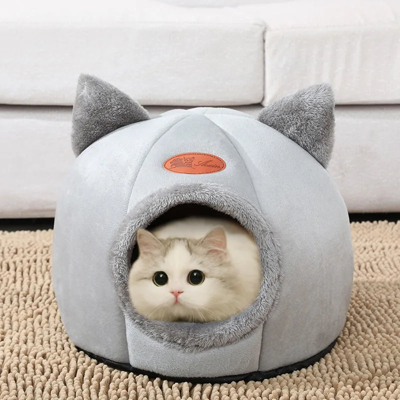 DreamyPet
