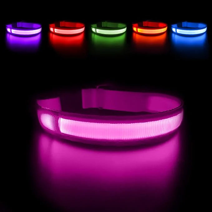 PawGlow 360