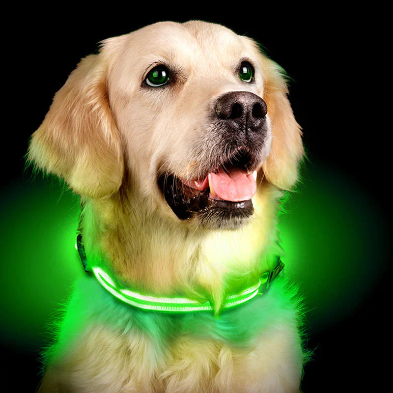 PawGlow 360