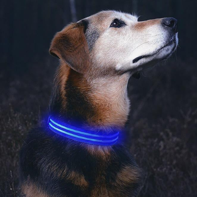 PawGlow 360