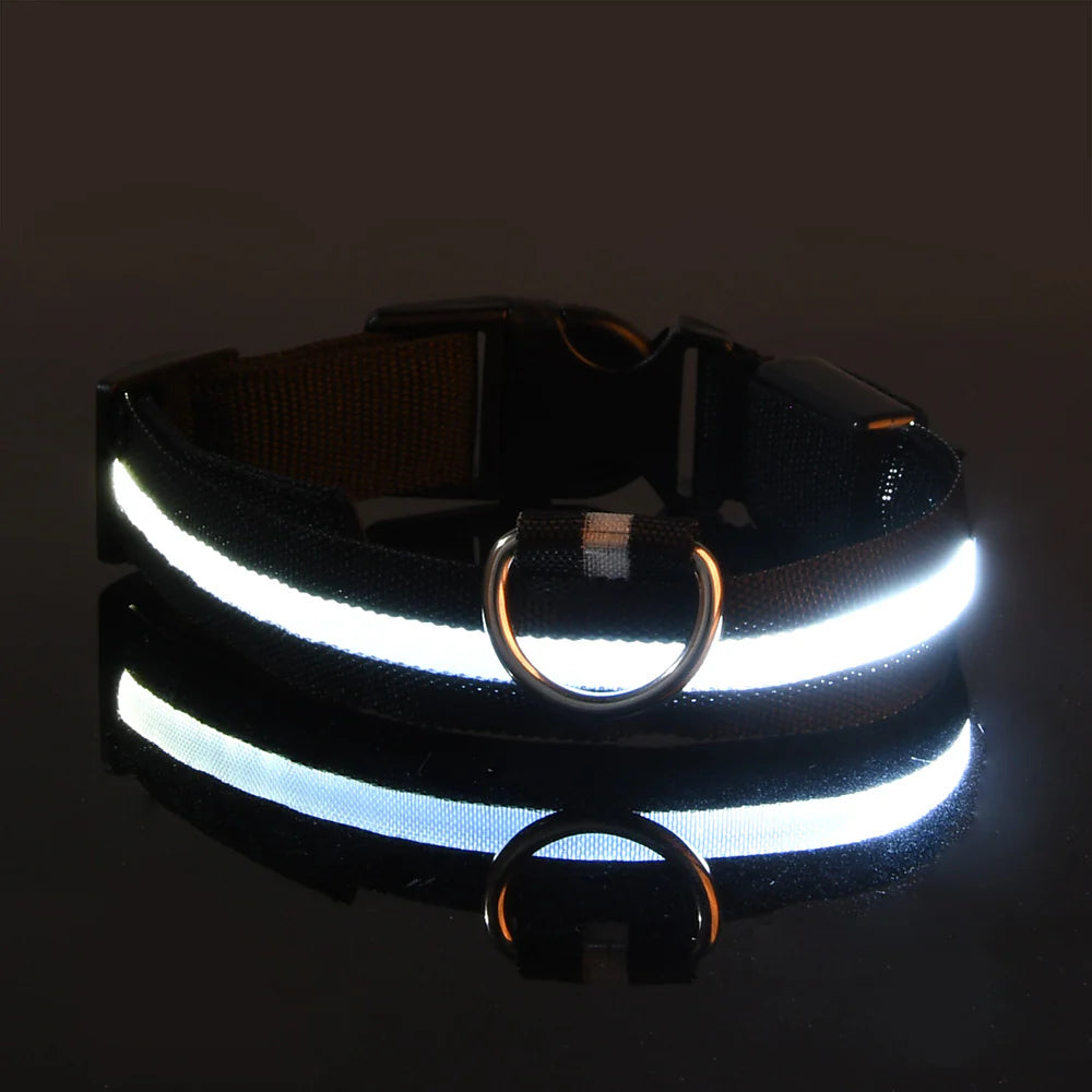 PawGlow 360