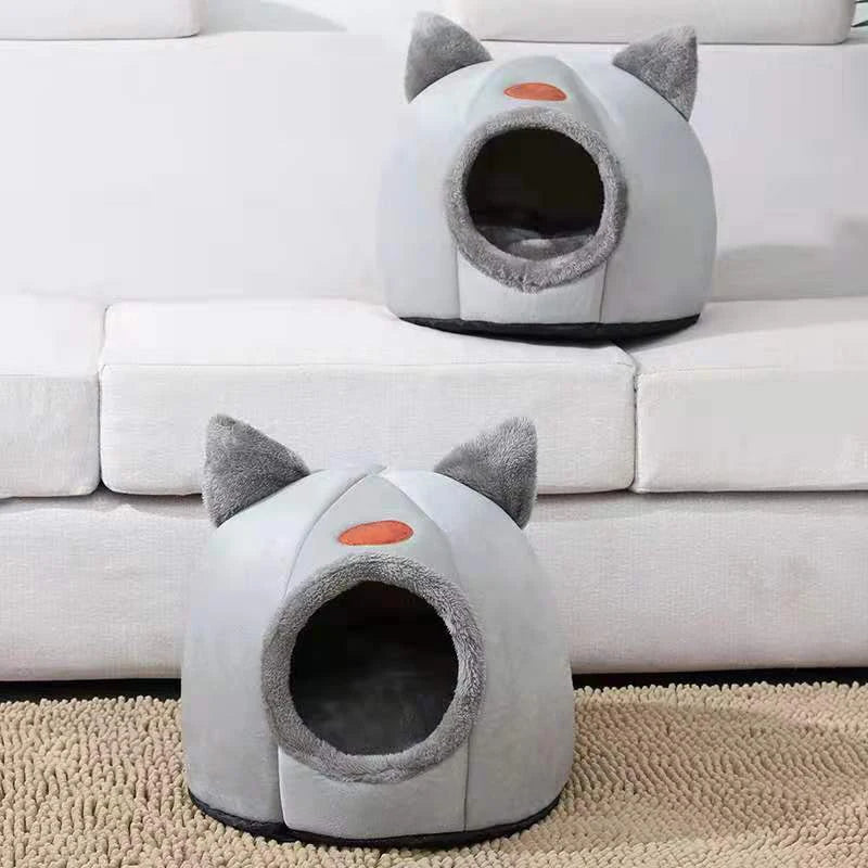 DreamyPet