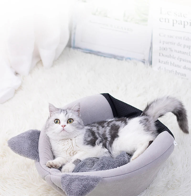 DreamyPet
