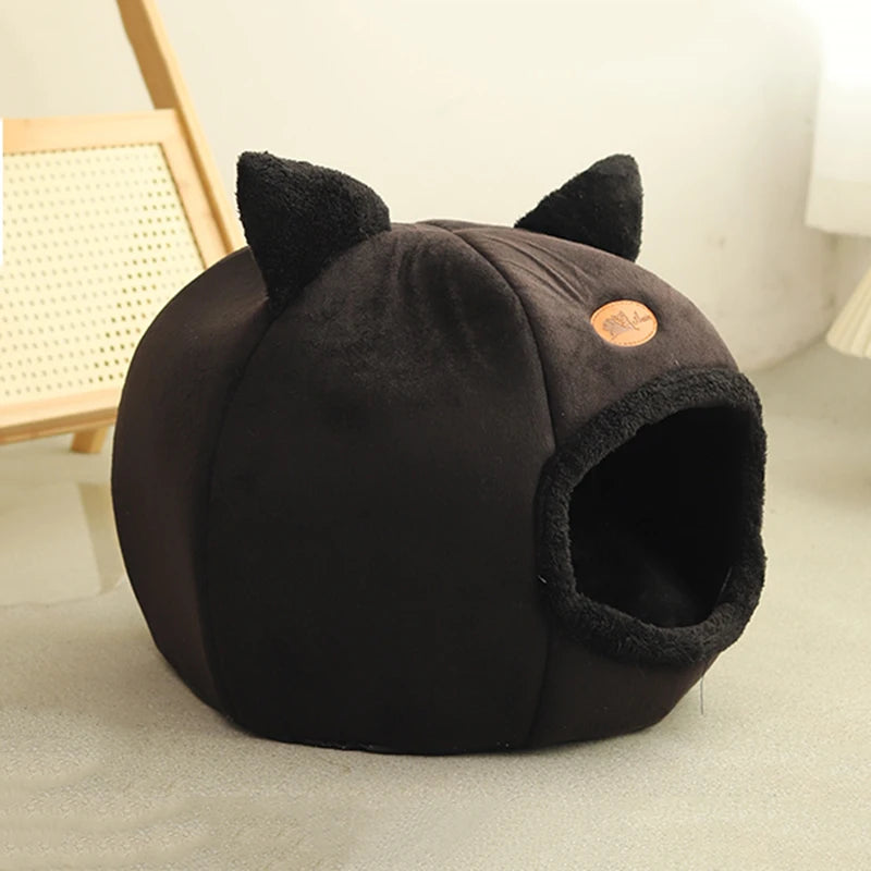 DreamyPet