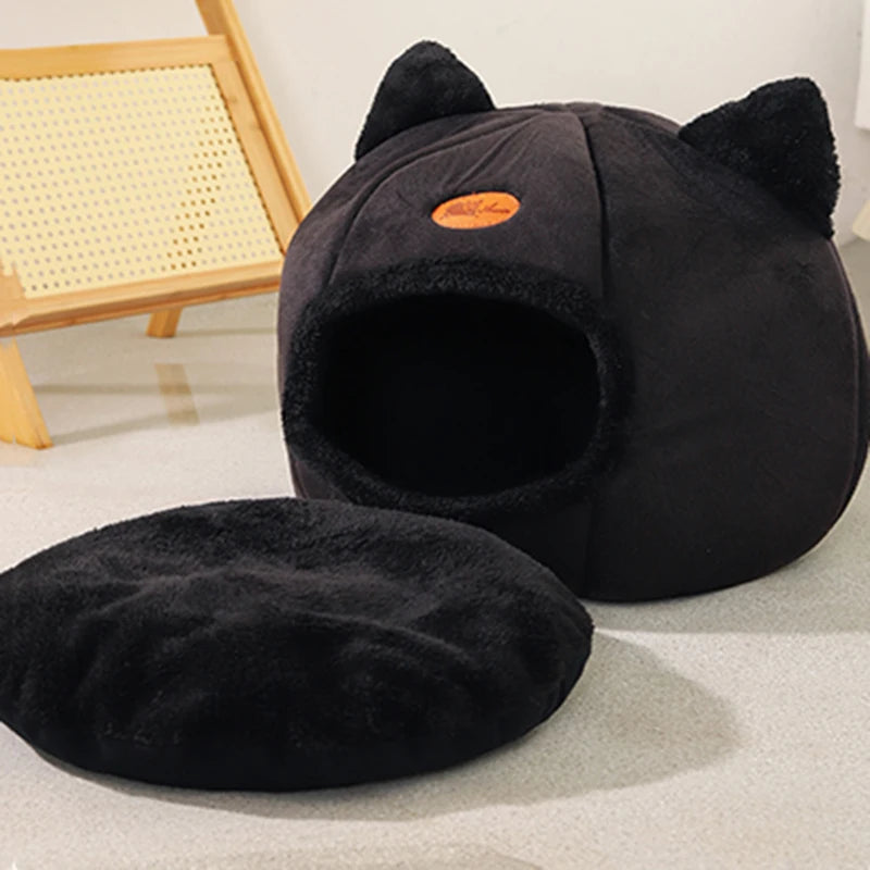 DreamyPet